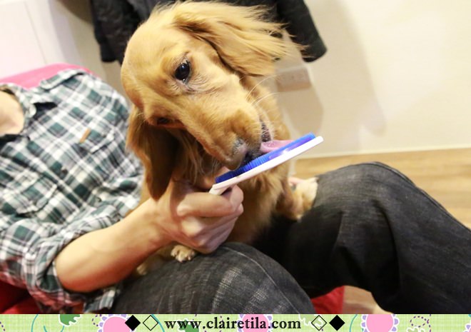 20251024-hqmio 20251024-hqmio