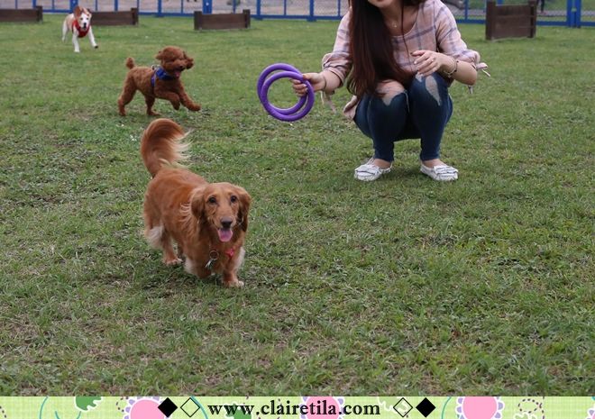 20251024-iiki5 20251024-iiki5