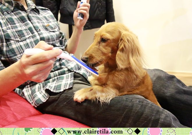 20251024-juof1 20251024-juof1