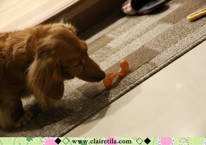 20251024-ln6d7 20251024-ln6d7