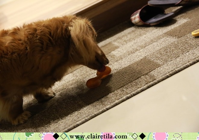 20251024-msbaf 20251024-msbaf