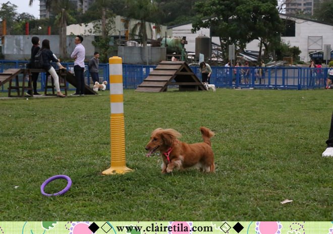 20251024-ovqtk 20251024-ovqtk