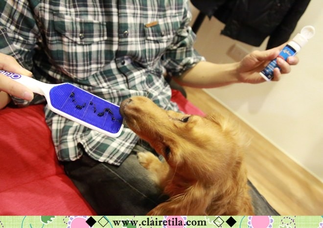 20251024-rsdxr 20251024-rsdxr