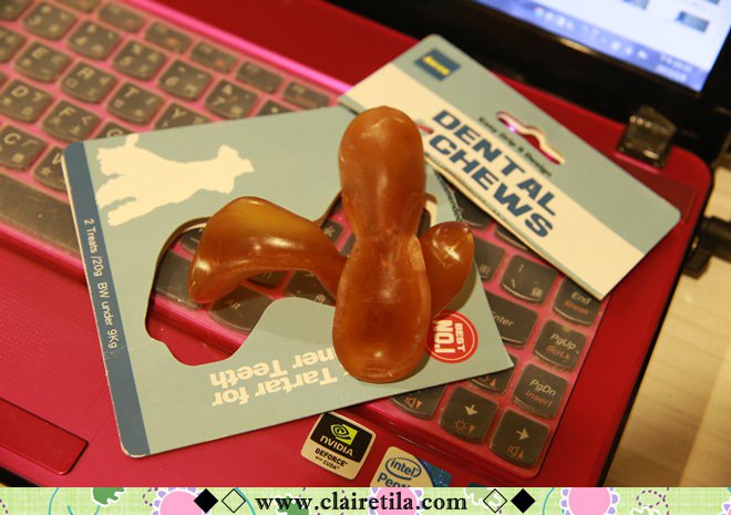 20251024-t8do5 20251024-t8do5