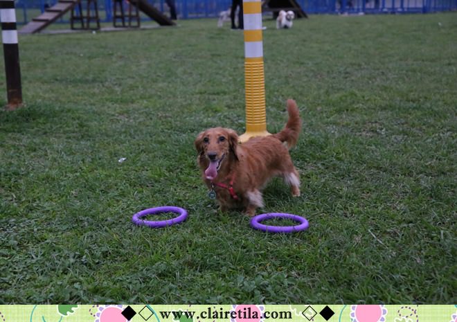 20251024-tj5mj 20251024-tj5mj