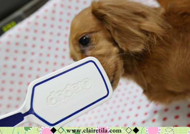 20251024-v5fdf 20251024-v5fdf