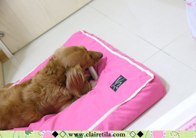 20251024-y57ke 20251024-y57ke