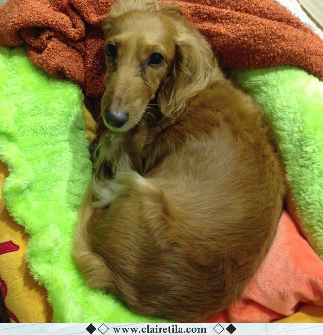 20251024-5jrnc 20251024-5jrnc