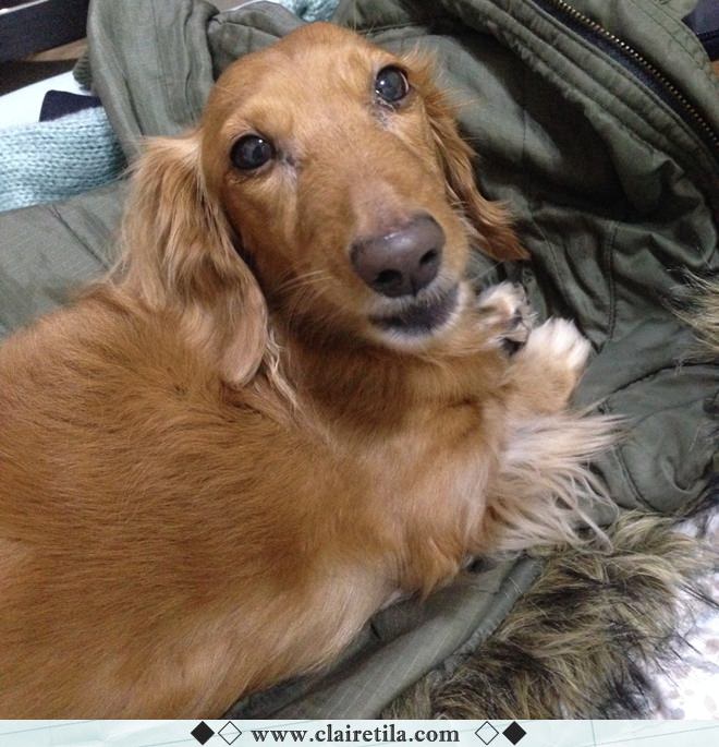 20251024-ack4w 20251024-ack4w