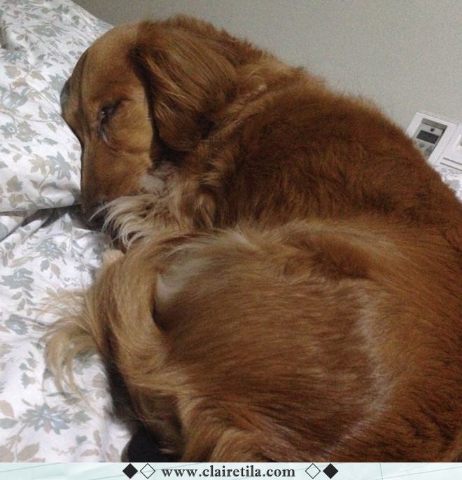 20251024-ar71x 20251024-ar71x