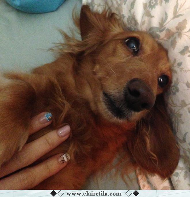 20251024-bj9ib 20251024-bj9ib