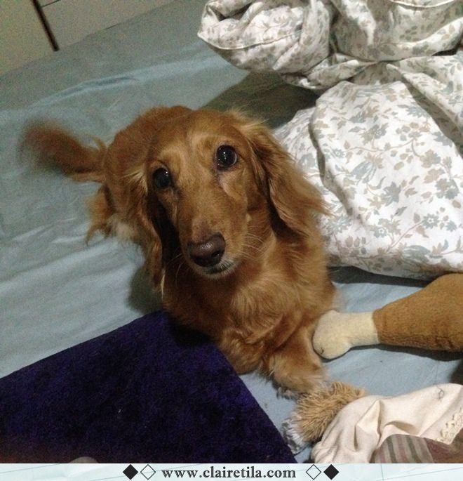 20251024-d4adi 20251024-d4adi