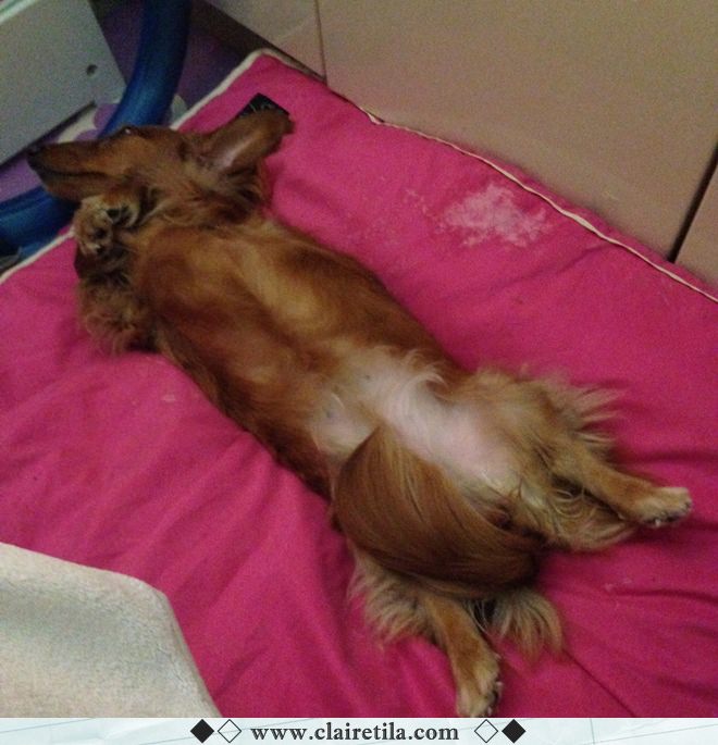 20251024-d9687 20251024-d9687