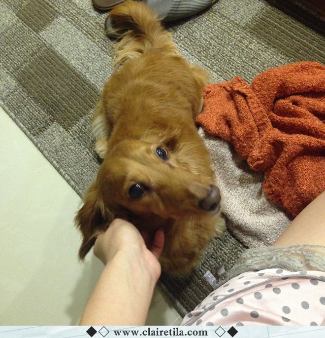 20251024-drbt7 20251024-drbt7