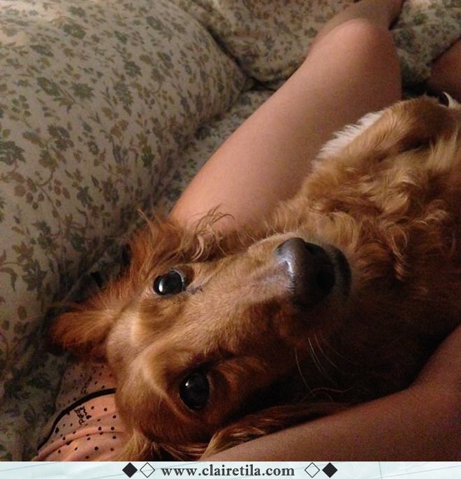 20251024-dxk7a 20251024-dxk7a