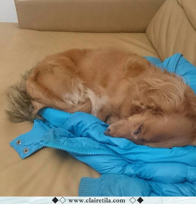 20251024-ernfn 20251024-ernfn