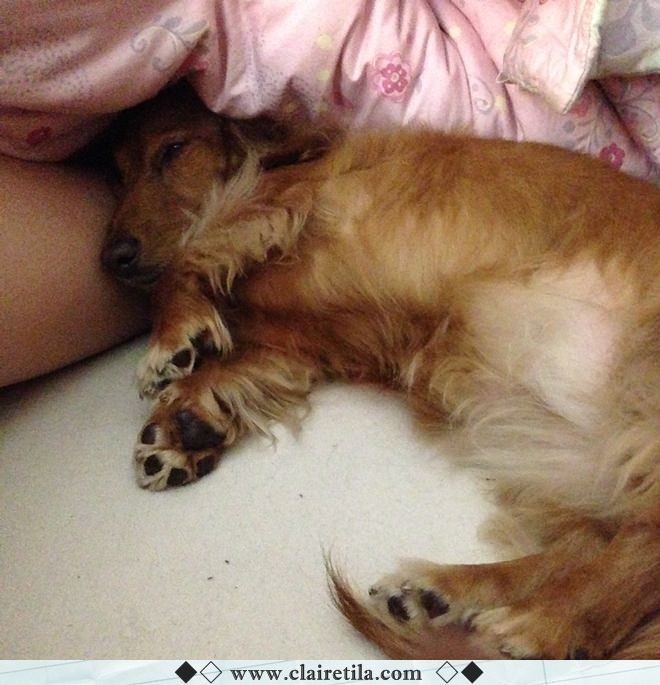 20251024-gwnhx 20251024-gwnhx