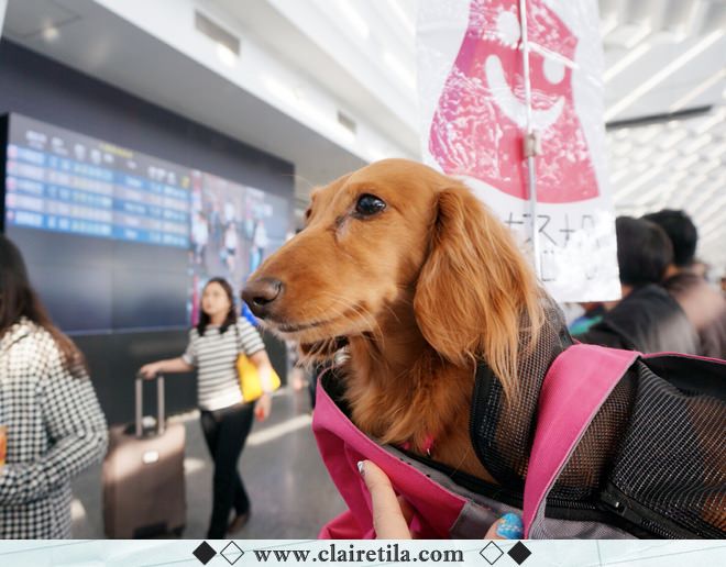 20251024-hwl8d 20251024-hwl8d