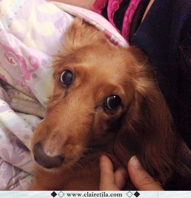 20251024-hy8xd 20251024-hy8xd