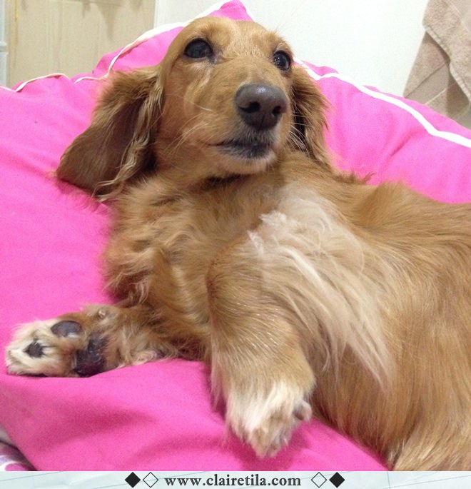 20251024-irq2y 20251024-irq2y