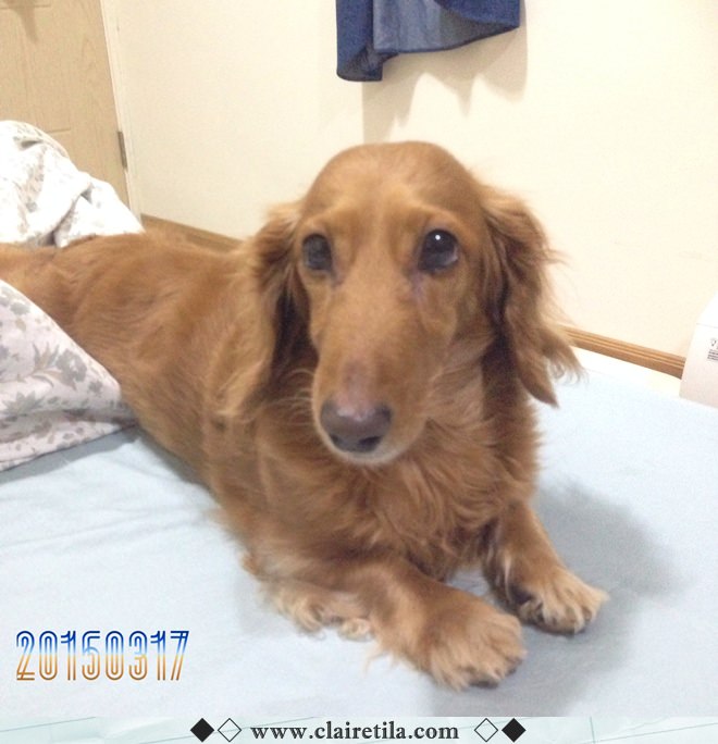 20251024-kbg02 20251024-kbg02