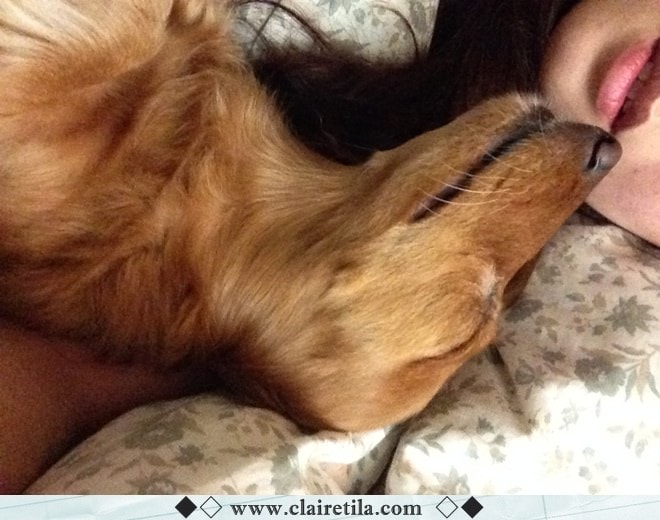 20251024-m6559 20251024-m6559