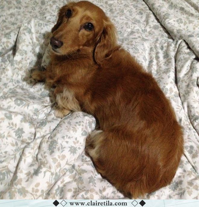 20251024-m8eev 20251024-m8eev