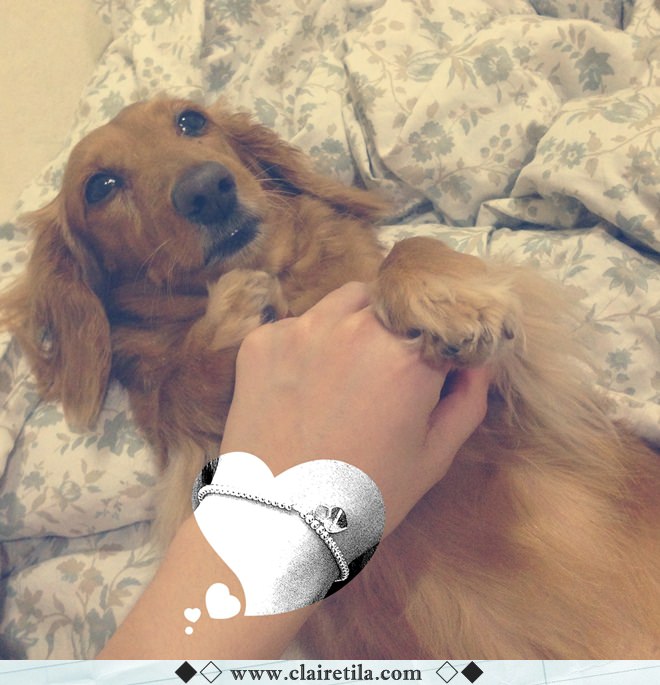 20251024-s54qp 20251024-s54qp