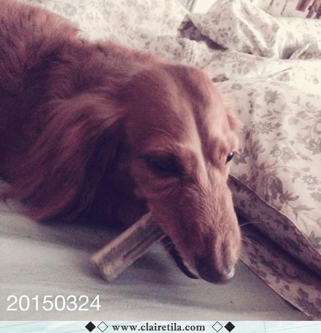 20251024-x4nv1 20251024-x4nv1