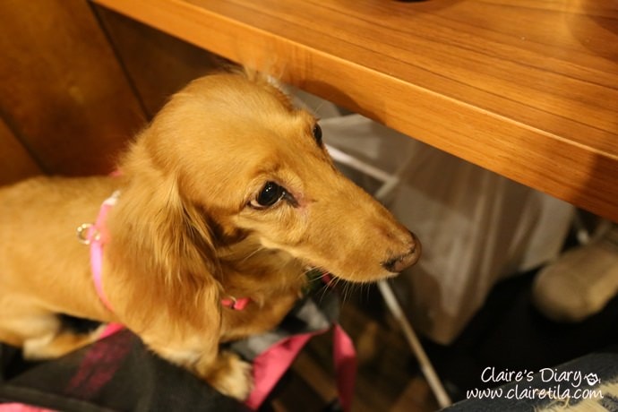 20251024-0d8qq 20251024-0d8qq