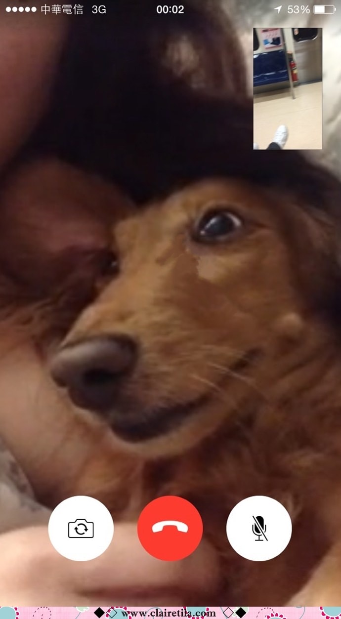 20251024-21534 20251024-21534