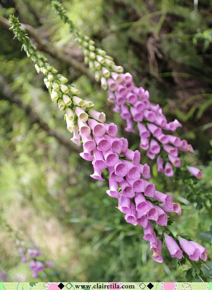 20251024-4fvak 20251024-4fvak