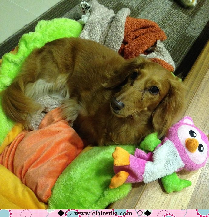 20251024-6puxo 20251024-6puxo