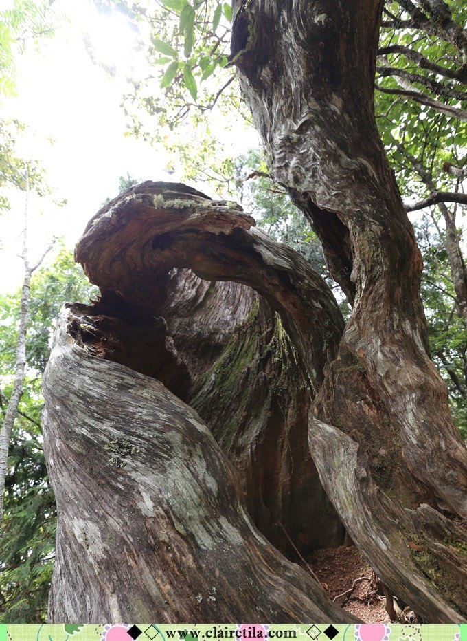 20251024-789n5 20251024-789n5