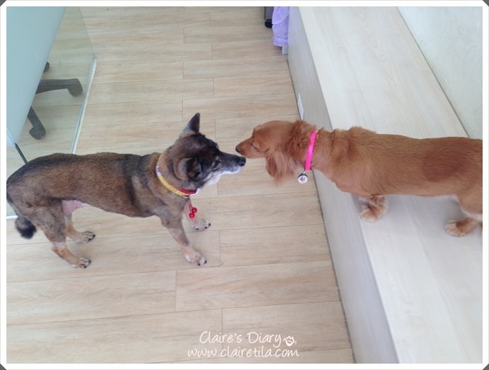 20251024-7w41e 20251024-7w41e