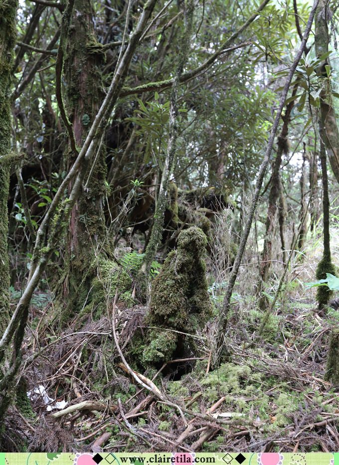 20251024-8lg83 20251024-8lg83