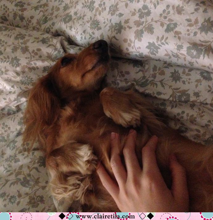 20251024-a7lpa 20251024-a7lpa