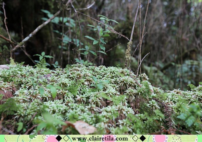 20251024-b6xh5 20251024-b6xh5