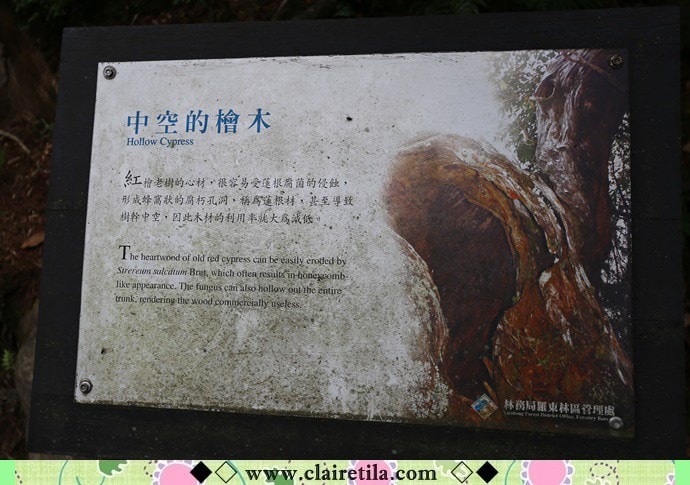 20251024-bxuuy 20251024-bxuuy