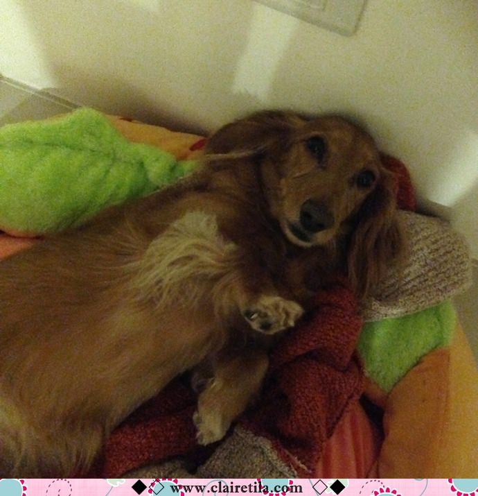 20251024-duzx1 20251024-duzx1