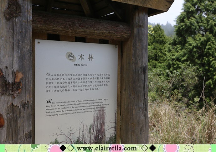 20251024-dzhna 20251024-dzhna