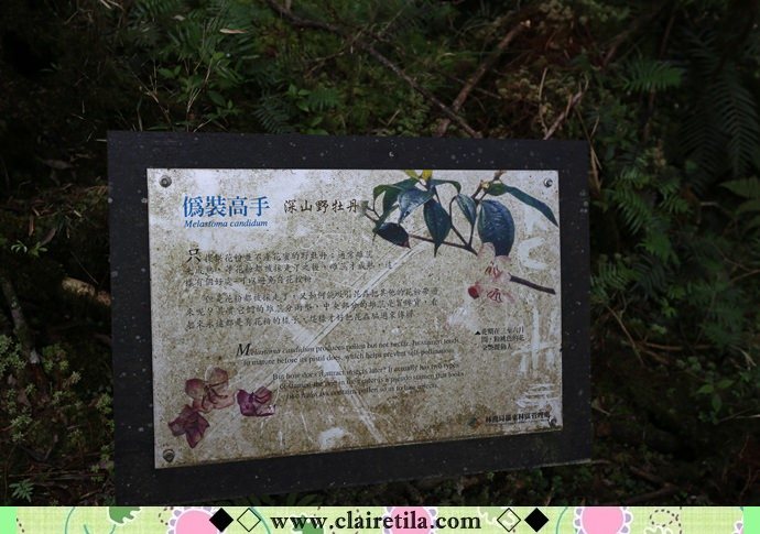 20251024-gjc38 20251024-gjc38