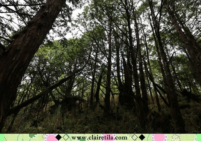 20251024-h1pxe 20251024-h1pxe