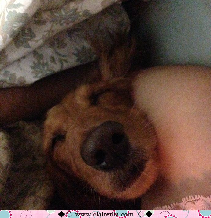 20251024-ie4s8 20251024-ie4s8