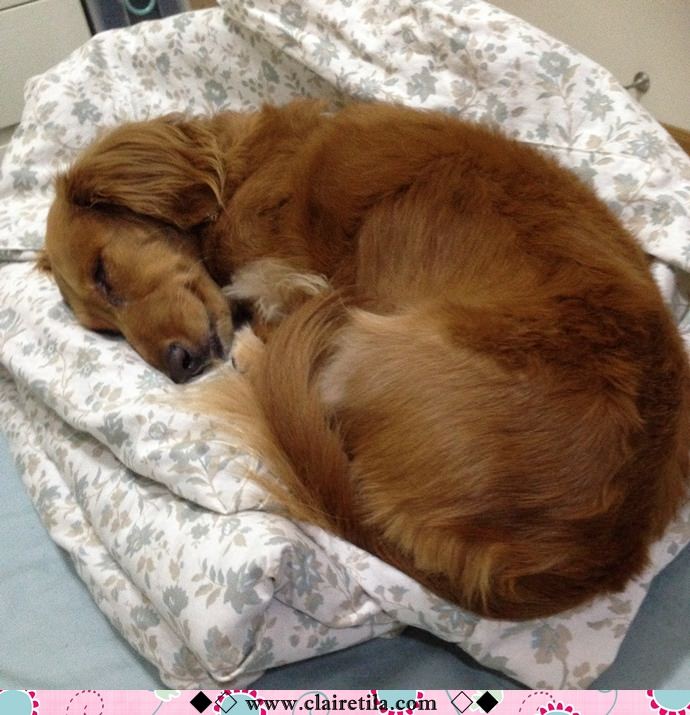 20251024-im0na 20251024-im0na