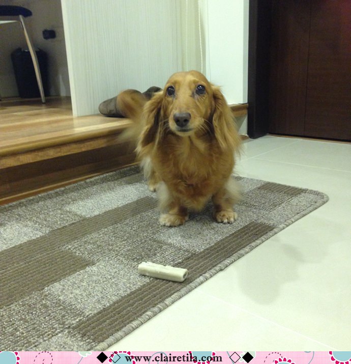 20251024-iuqdf 20251024-iuqdf