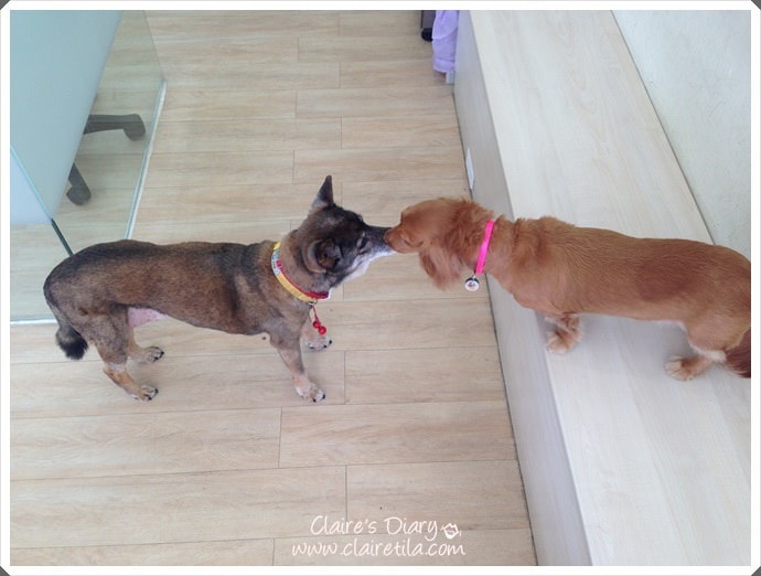 20251024-iv25n 20251024-iv25n