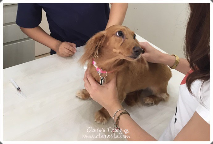 20251024-j00ag 20251024-j00ag