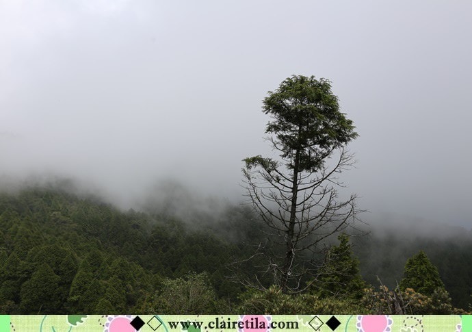 20251024-liho1 20251024-liho1