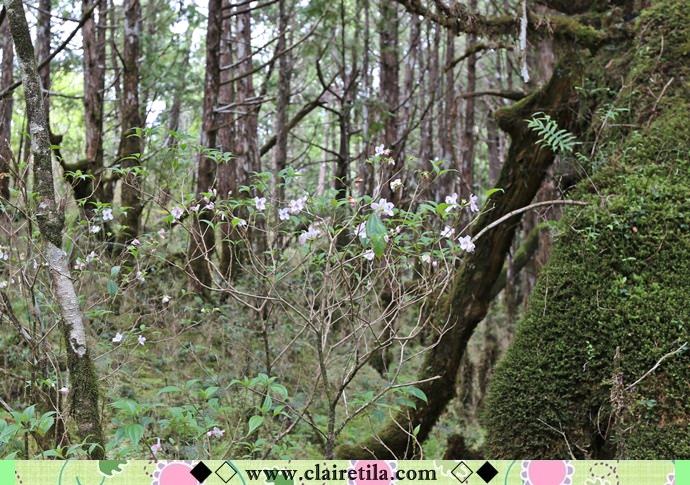 20251024-lsre0 20251024-lsre0